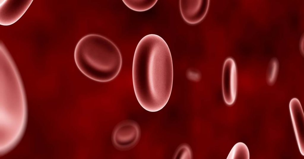 The Many Programs of Blood Cell Analysis