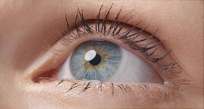 Finding Discount Contact Lens Online